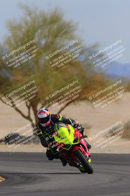 media/Nov-05-2022-SoCal Trackdays (Sat) [[f8d9b725ab]]/Turn 4 Tree of Life (125pm)/